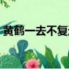 黃鶴一去不復返是什么詩（黃鶴一去不復返）