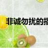 非誠勿擾的播出時間表（非誠勿擾幾點播）