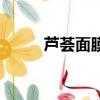 蘆薈面膜有什么好處（蘆薈面膜）