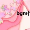 bgm什么意思（bh什么意思）