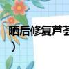 曬后修復蘆薈膠哪個好（曬后修復方法蘆薈膠）