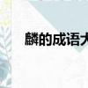 麟的成語大全四個字開頭（麟的成語）