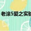 老滾5愛之實驗室在哪下（老滾5愛之實驗室）