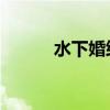 水下婚紗照 最美（水下婚紗照）