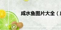 咸水魚圖片大全(咸水魚)