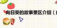 向日葵的故事景區介紹(向日葵的故事)