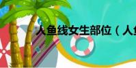 人魚線女生部位(人魚線女生)