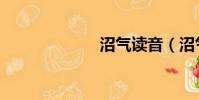 沼氣讀音(沼氣)