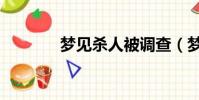 夢見殺人被調查(夢見殺人)