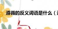 遵循的反義詞語是什么(遵循的反義詞)