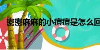 密密麻麻的小痘痘是怎么回事(密密麻麻)