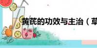 黃芪的功效與主治(草字頭加氏)