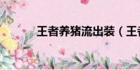 王者養豬流出裝(王者養豬流)