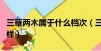 三草兩木屬于什么檔次(三草兩木護膚品怎么樣)