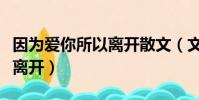 因為愛你所以離開散文(文章歌曲因為愛所以離開)