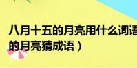 八月十五的月亮用什么詞語來形容(八月十五的月亮猜成語)