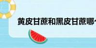 黃皮甘蔗和黑皮甘蔗哪個好(黃皮)