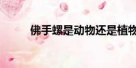 佛手螺是動物還是植物(佛手螺)
