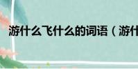 游什么飛什么的詞語(游什么飛什么成語)