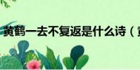 黃鶴一去不復返是什么詩(黃鶴一去不復返)