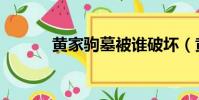 黃家駒墓被誰破壞(黃家駒墓)