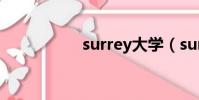 surrey大學(surrey)