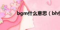 bgm什么意思(bh什么意思)