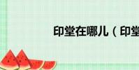 印堂在哪兒(印堂在哪)