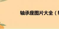 軸承座圖片大全(軸承座)
