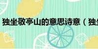 獨坐敬亭山的意思詩意(獨坐敬亭山的意思)