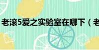 老滾5愛之實驗室在哪下(老滾5愛之實驗室)