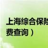 上海綜合保險繳費查詢官網（上海綜合保險繳費查詢）