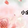 小金管是什么（小金管）