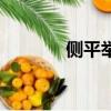側平舉練什么肌肉（側平舉）