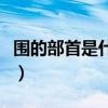 圍的部首是什么部首怎么讀（圍的部首是什么）