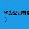 華為公司有沒有上市啊（華為公司有沒有上市）
