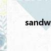 sandwich的復數（sandwich）