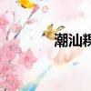 潮汕粿條湯圖片（潮汕粿條）