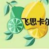 飛思卡爾半導體公司（飛思卡爾）