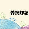 養螞蚱怎么養殖技術視頻（養螞蚱）