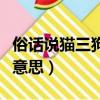 俗話說貓三狗四是什么意思（貓三狗四是什么意思）