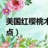 美國紅櫻桃木多少錢一方（美國紅櫻桃木優缺點）