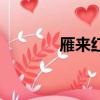 雁來紅是什么植物（雁來紅）