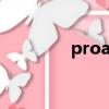 proactively（proactive）