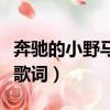 奔馳的小野馬和帶刺的玫瑰歌詞（帶刺的玫瑰歌詞）