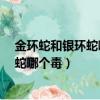 金環蛇和銀環蛇哪種更毒?都是要人命的主（金環蛇和銀環蛇哪個毒）
