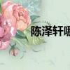 陳澤軒哪里人（陳澤軒高中哪的）