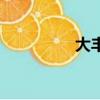 大豐景點圖（大豐景點）