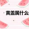 黃蓋屬什么生肖動物（黃蓋屬什么生肖）
