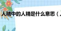 人精中的人精是什么意思(人精是什么意思)